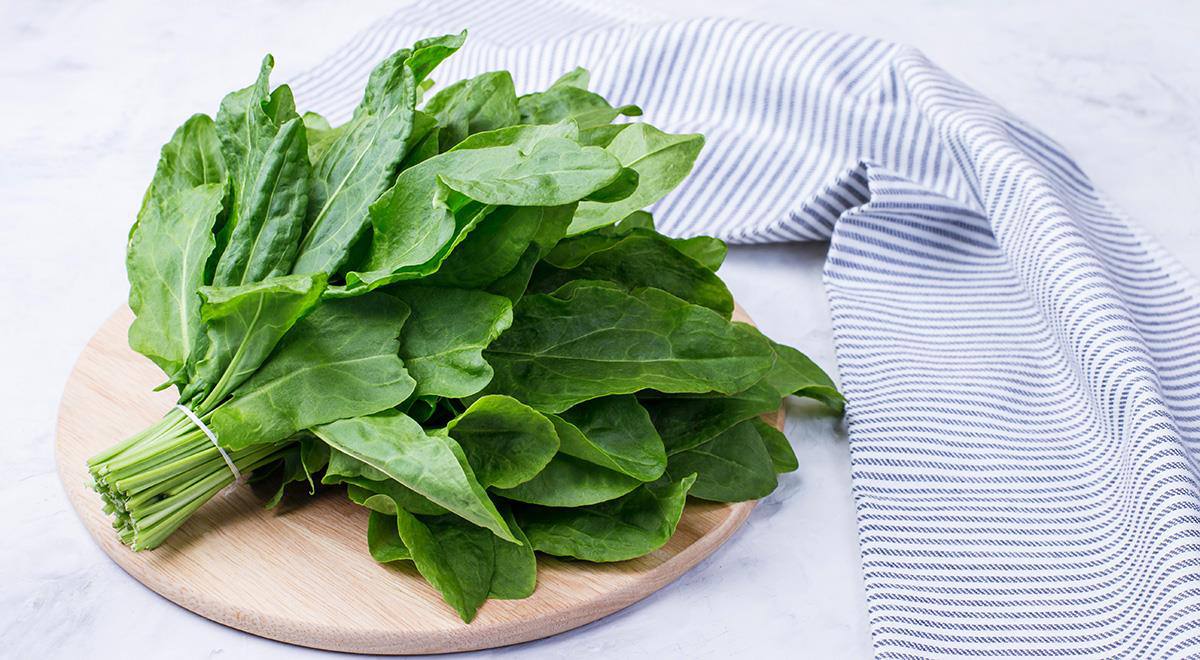 Wszystko o korzyściach szczawiu